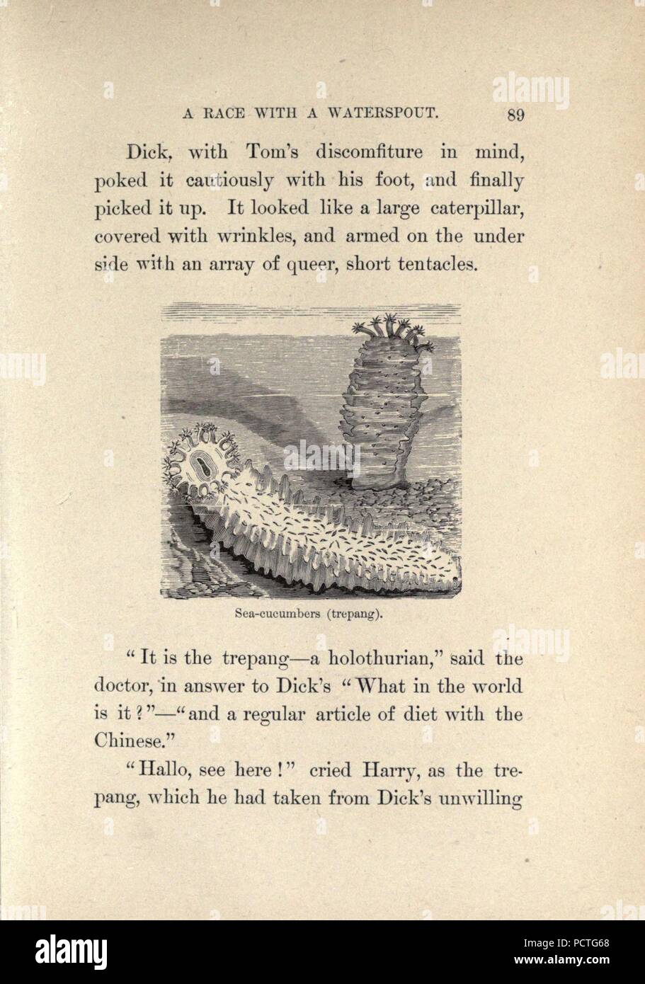 Entlang der Florida Reef (Seite 89) Stockfoto