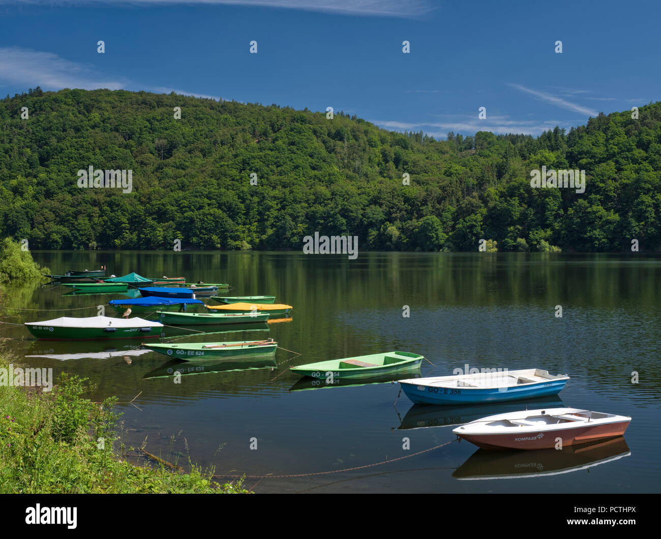 Deutschland, Hessen, Vöhl, Natur und Nationalpark Kellerwald-Edersee, bunte Boote auf der Bank der Edersee, Nilgans sitzen auf dem Boot, Urwald Trail Stockfoto