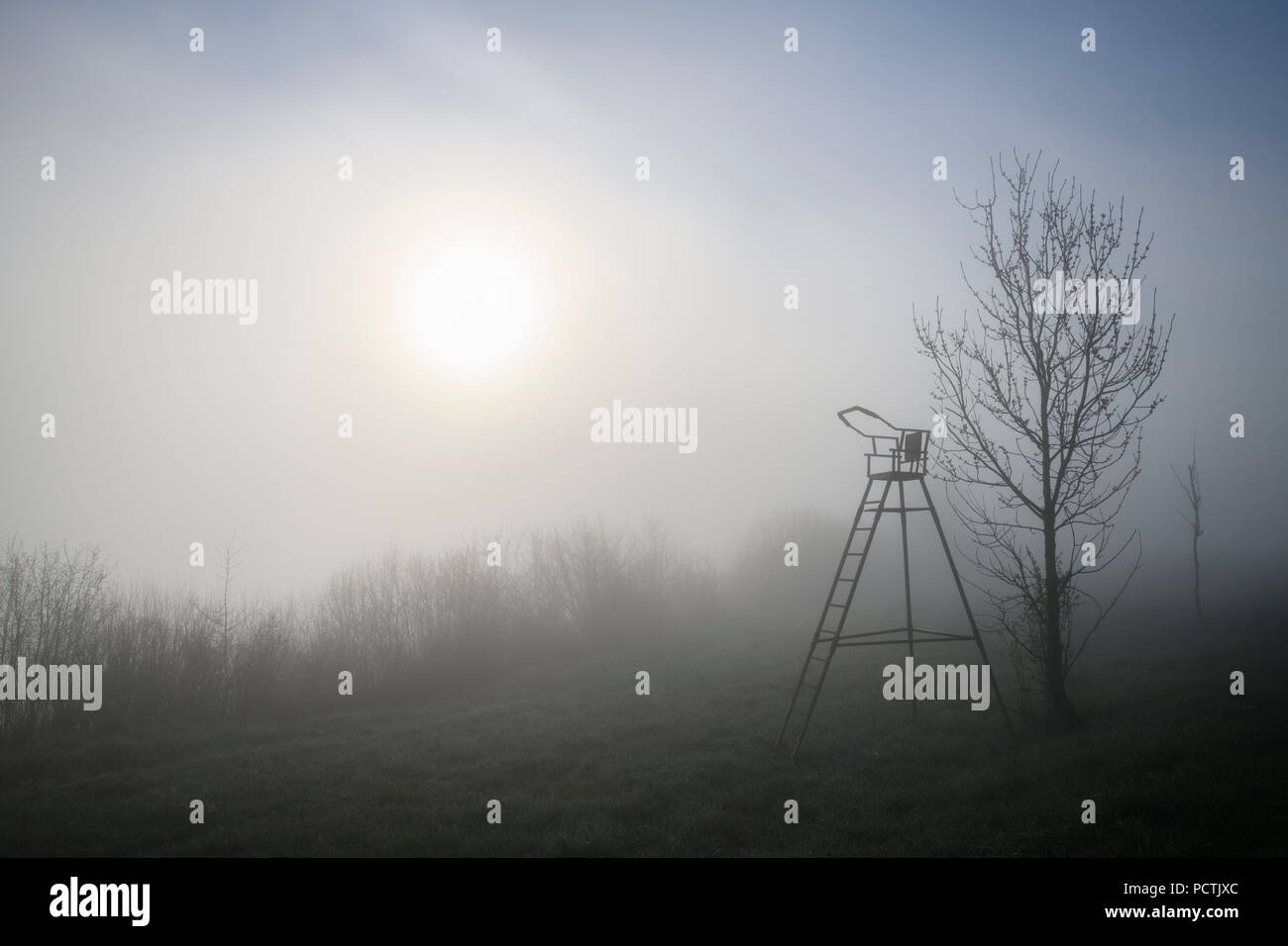 Jäger stehen mit Sonne im Nebel, Wertheim, Spessart, Unterfranken, Baden-Württemberg, Deutschland Stockfoto
