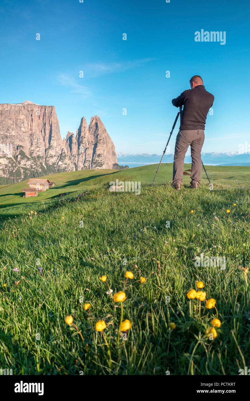 Europa, Italien, Bozen, Südtirol, Seiser Alm - Seiser Alm, Dolomiten. Landscape Photographer bei Sonnenaufgang mit im Gesicht der Sciliar Schlern montieren Stockfoto