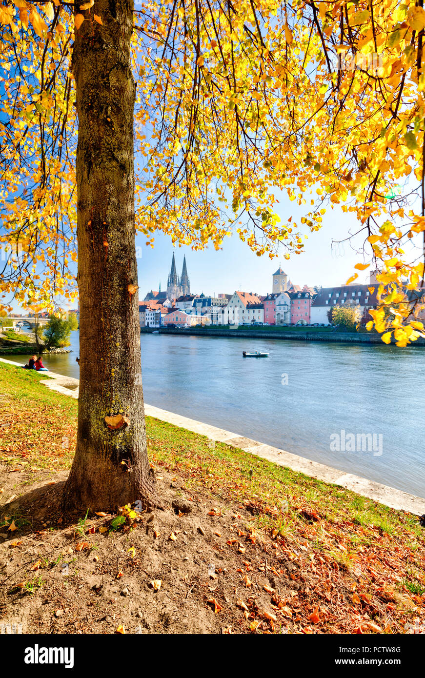 Blick von der Jahn Insel, die Kathedrale, die Uferpromenade, Herbst, Regensburg, Oberpfalz, Bayern, Deutschland, Europa, Stockfoto