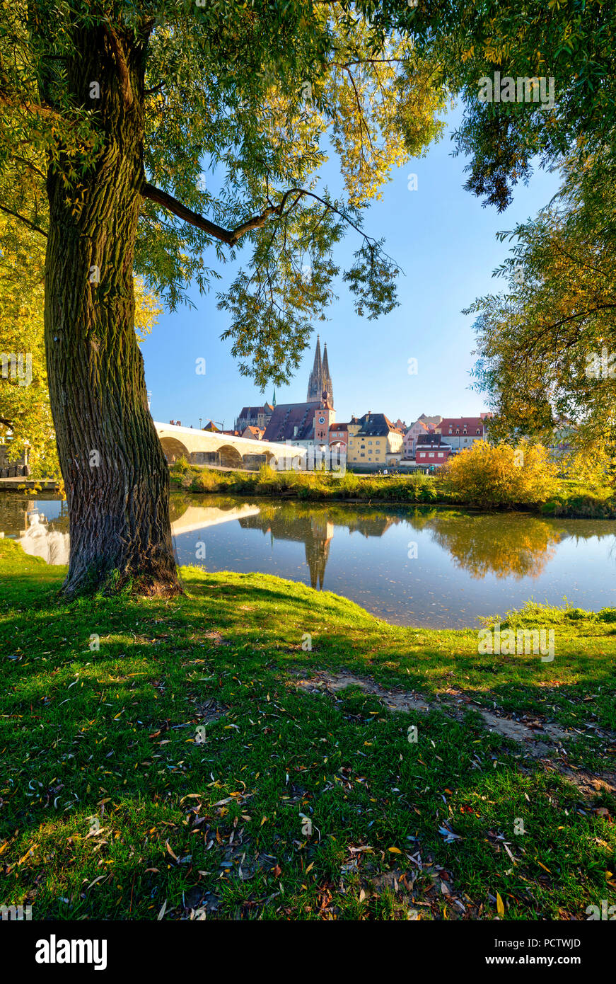 Blick von der Jahn Insel, steinerne Brücke, Waterfront, Herbst, Regensburg, Oberpfalz, Bayern, Deutschland, Europa, Stockfoto