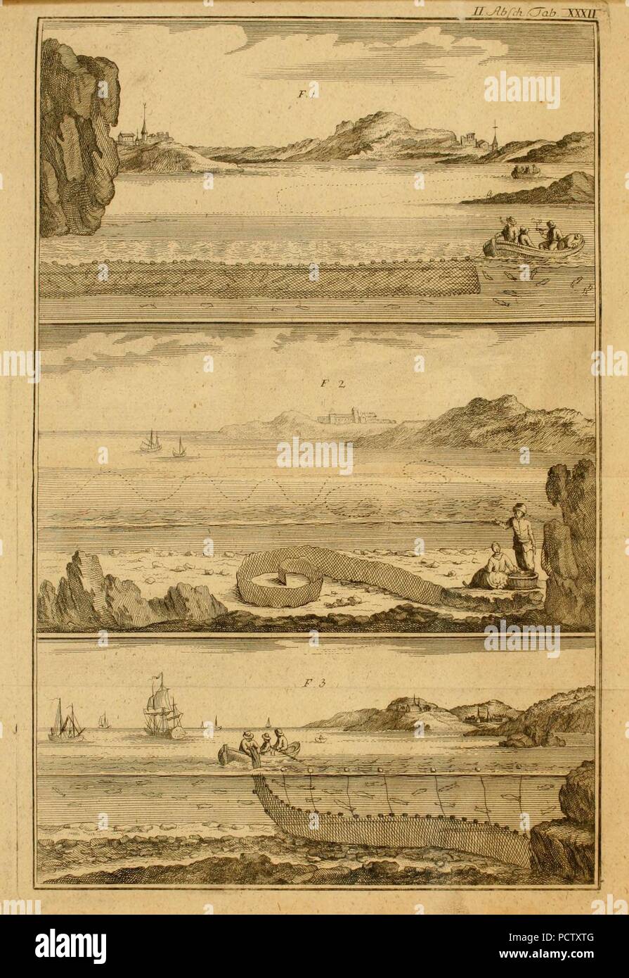 Allgemeine Abhandlung von den Fischereyen, und der Fische (Platte XXXII) Stockfoto