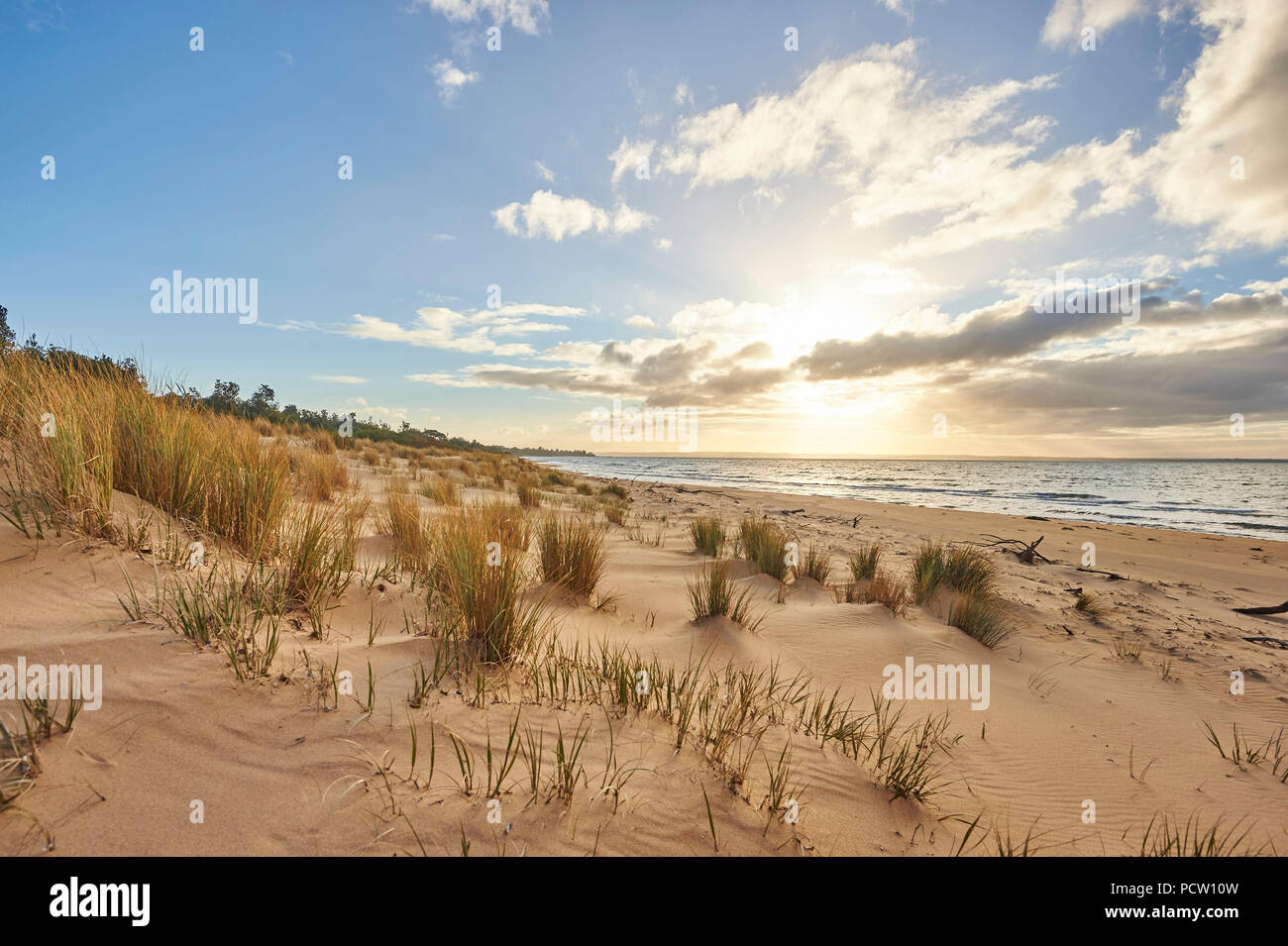 Strand, Landschaft im Frühjahr auf Phillip Island, Melbourne, Victoria, Australien, Ozeanien Stockfoto