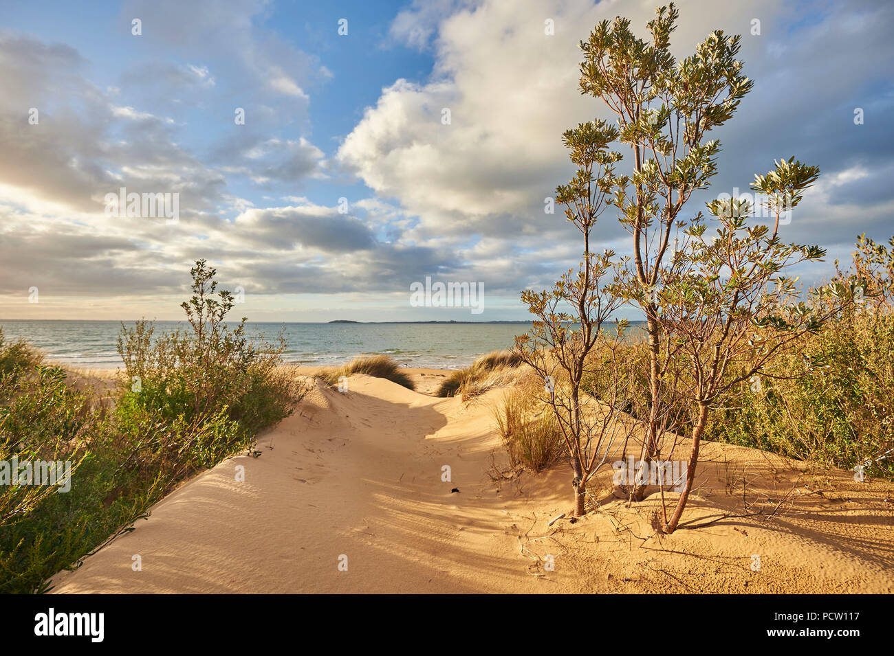 Strand, Landschaft im Frühjahr auf Phillip Island, Melbourne, Victoria, Australien, Ozeanien Stockfoto