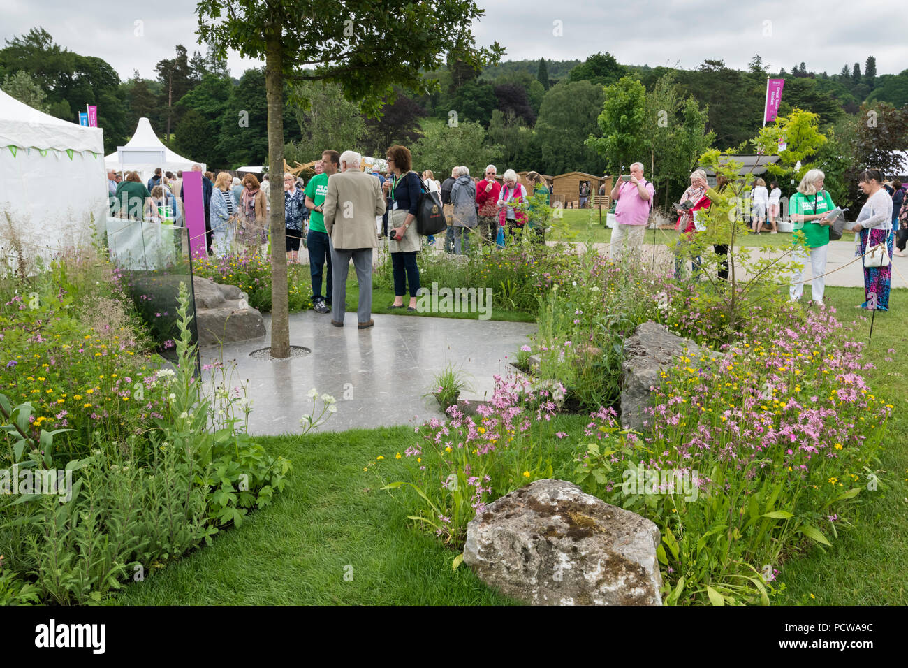 Menschen sehen zentrales Merkmal Baum, gepflasterten Bereich und Blumen im Garten, schöne Show - Macmillan Erbe Garten, RHS Chatsworth Flower Show, England, UK. Stockfoto