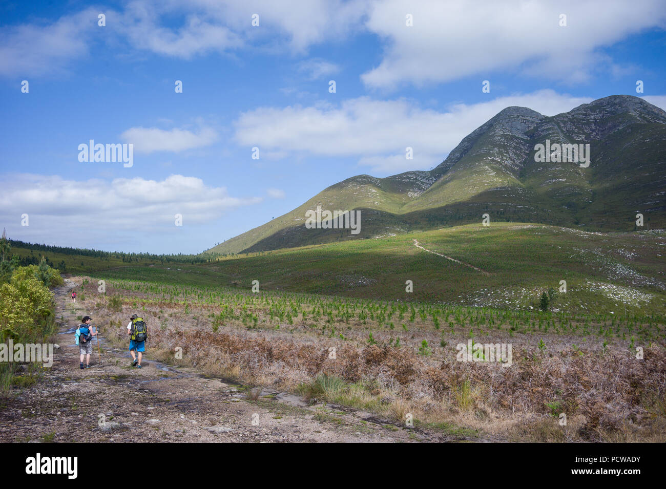 Der Tsitsikamma Wanderweg ist ein multi-day Backpacking Trail beginnend an der Küste des Indischen Ozeans in der Nähe von Nature's Valley und endend an Storm's River. Stockfoto