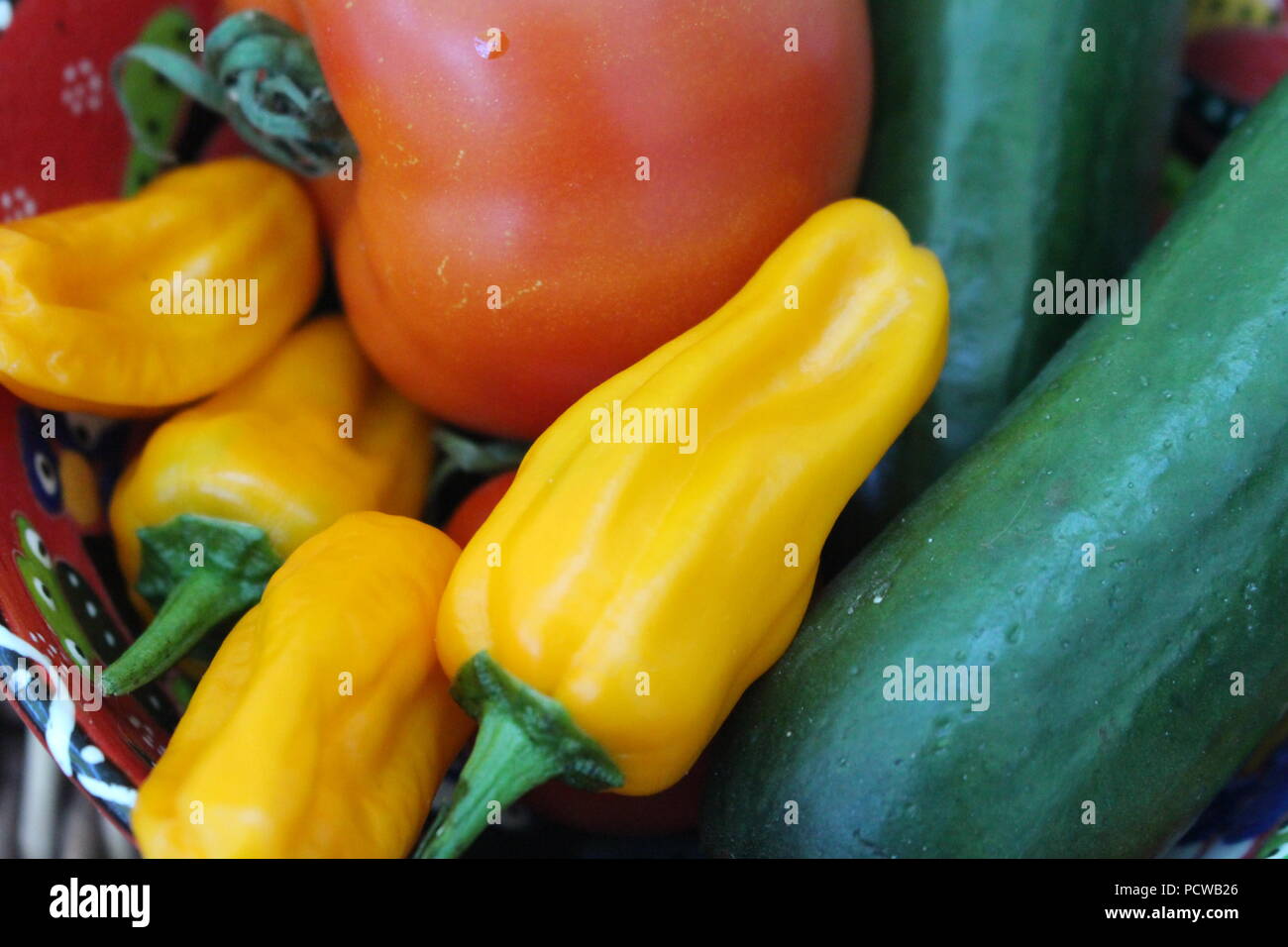 Selbst angebautes Gemüse in eine Schüssel geben. Stockfoto