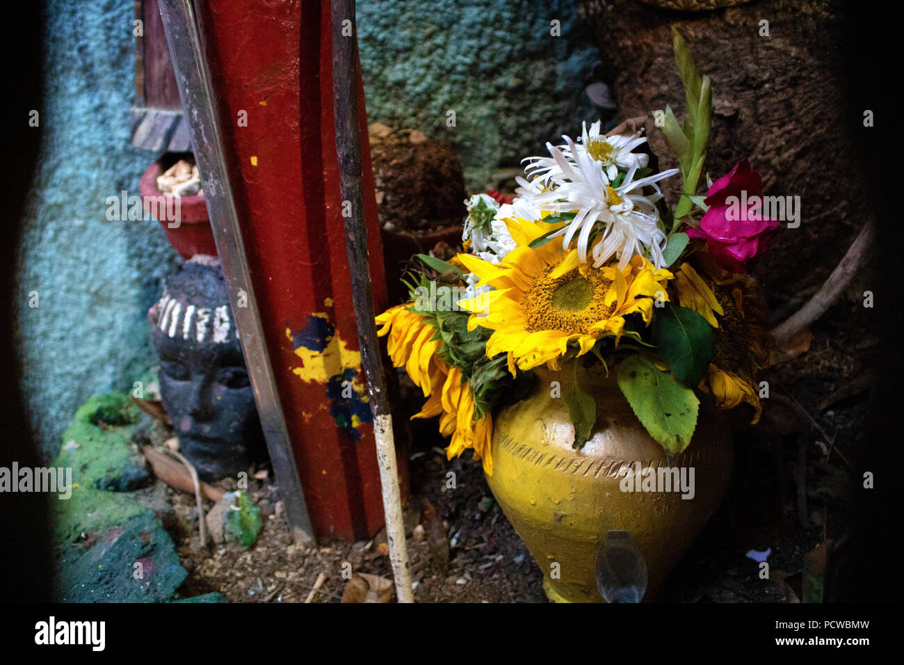 Schöne Blumen in einer gelben Blumentopf Stockfoto