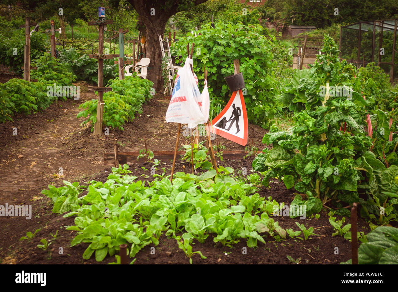 Ein lustiges Bild von einem 'Men am Arbeitsplatz" Schild auf eine Zuteilung Grundstück in England, Großbritannien. Stockfoto