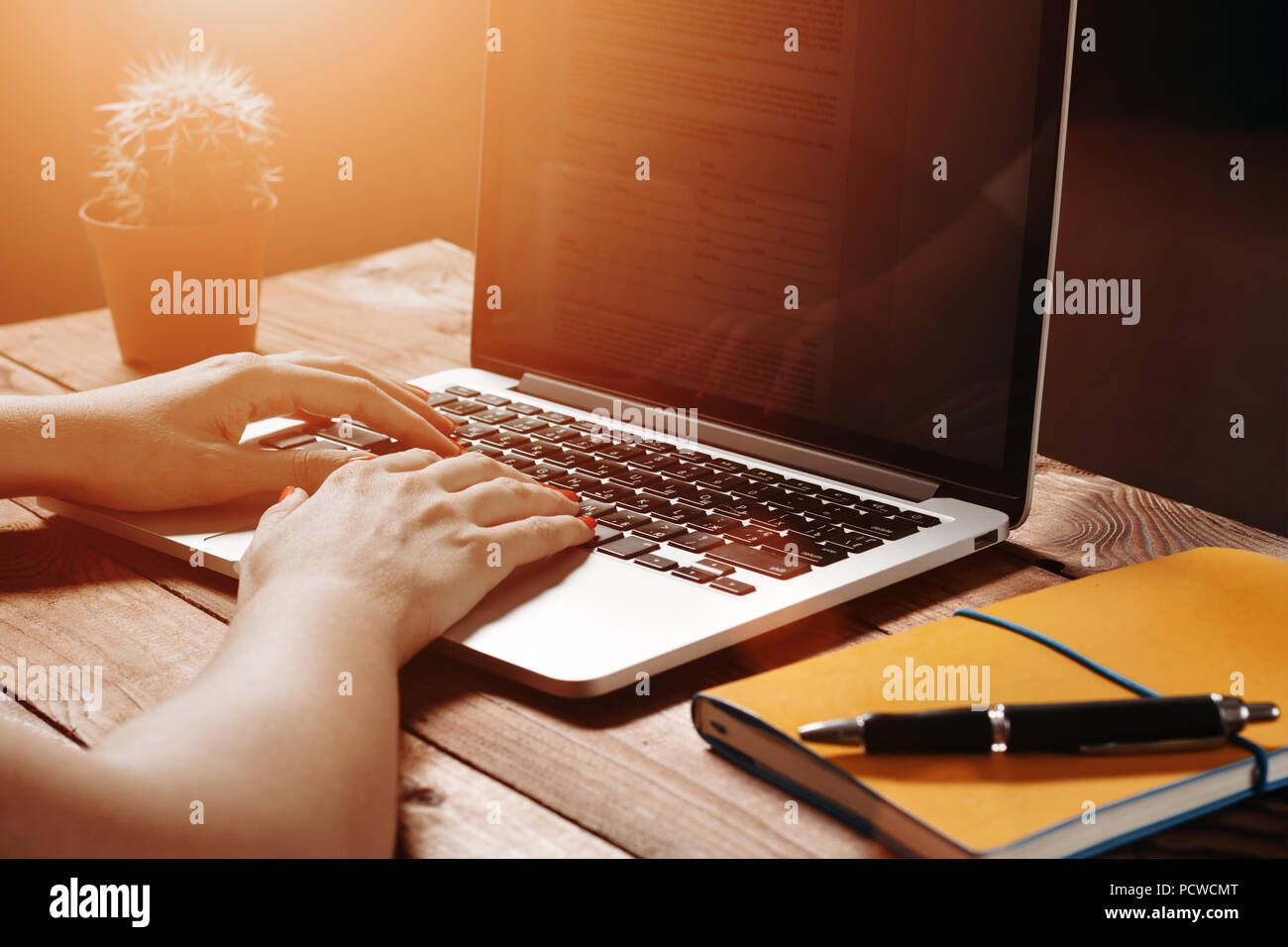 Weibliche Hände Tippen auf der Tastatur eines Laptops auf vintage Holztisch. Mock-up mit Laptop Stockfoto