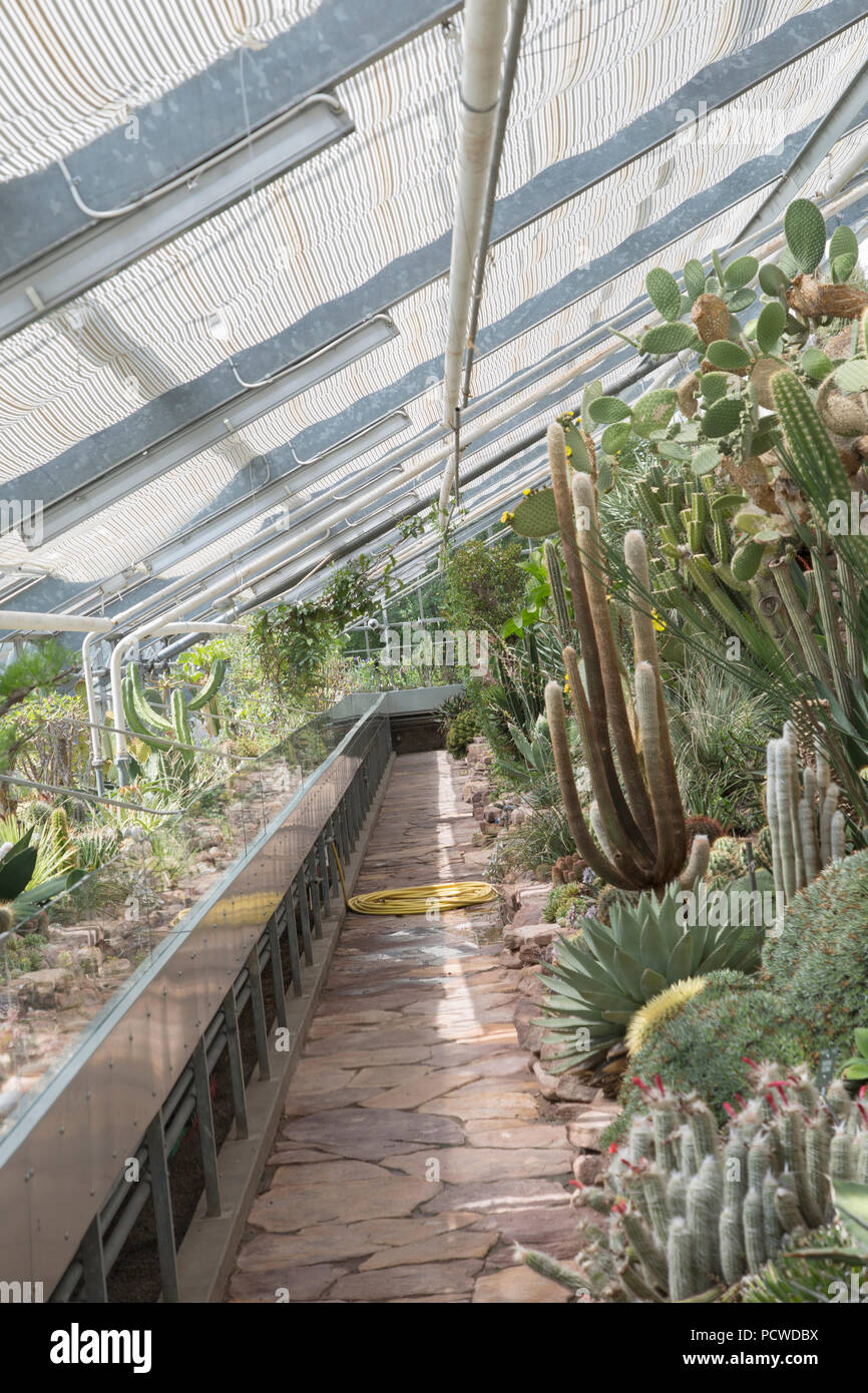 Botanischer Garten Kopenhagen
