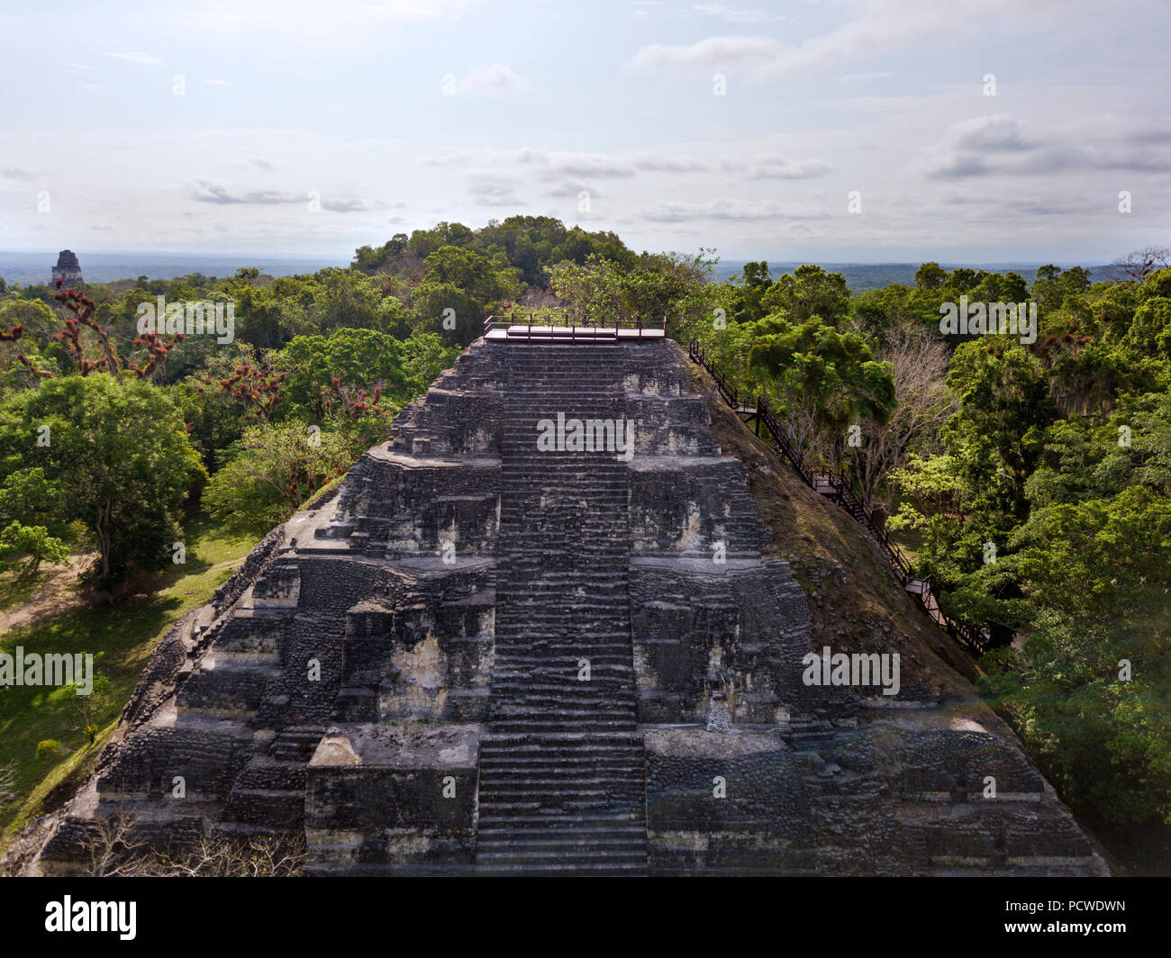 Nationalpark Tikal, Guatemala Stockfoto