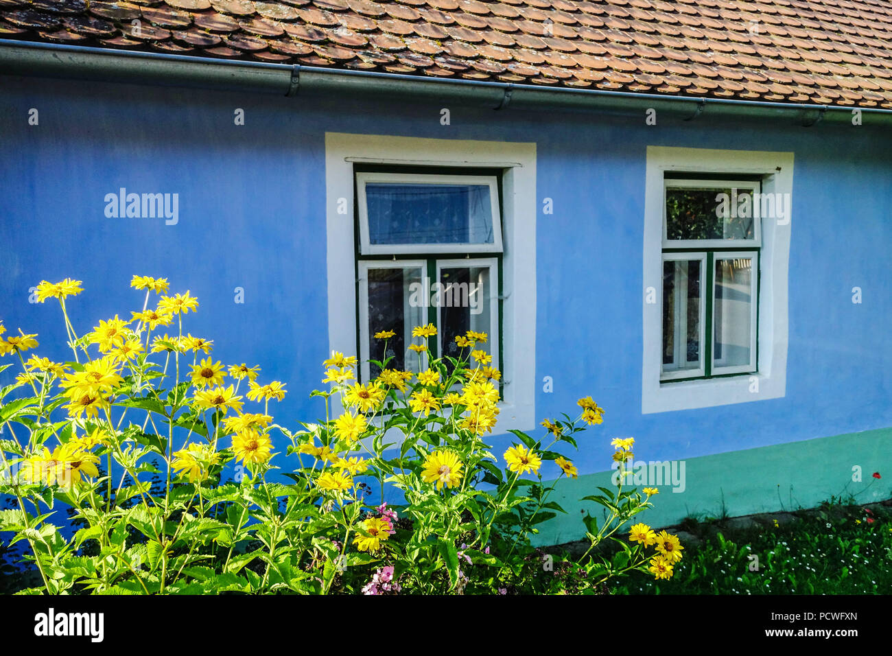 Mährisches Volkshaus, Haus im Dorf Vapenky, Region Hornacko, Mähren, tschechisches Dorfhaus in Tschechien Stockfoto