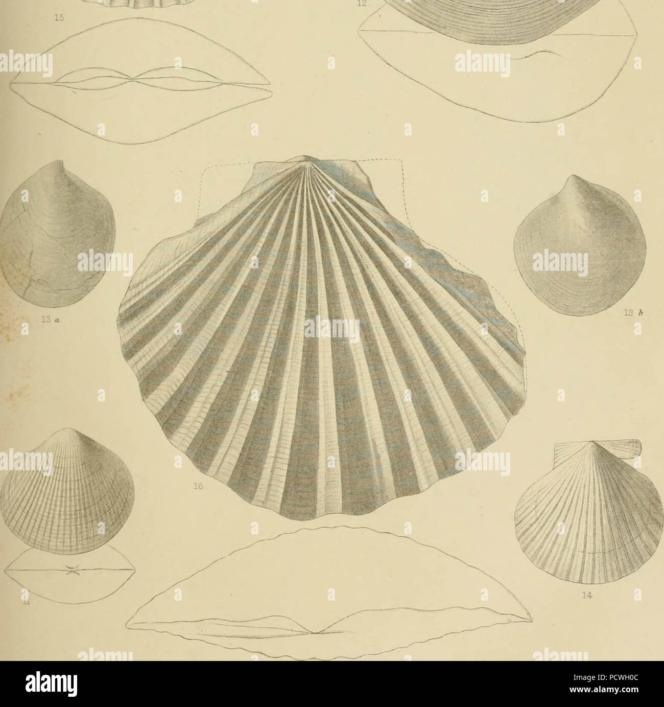 "Berichte von Erkundungen und Befragungen, die praktikabel und wirtschaftlich Route zu ermitteln, für eine Eisenbahn von der Mississippi River bis zum Pazifischen Ozean' (1857) Stockfoto