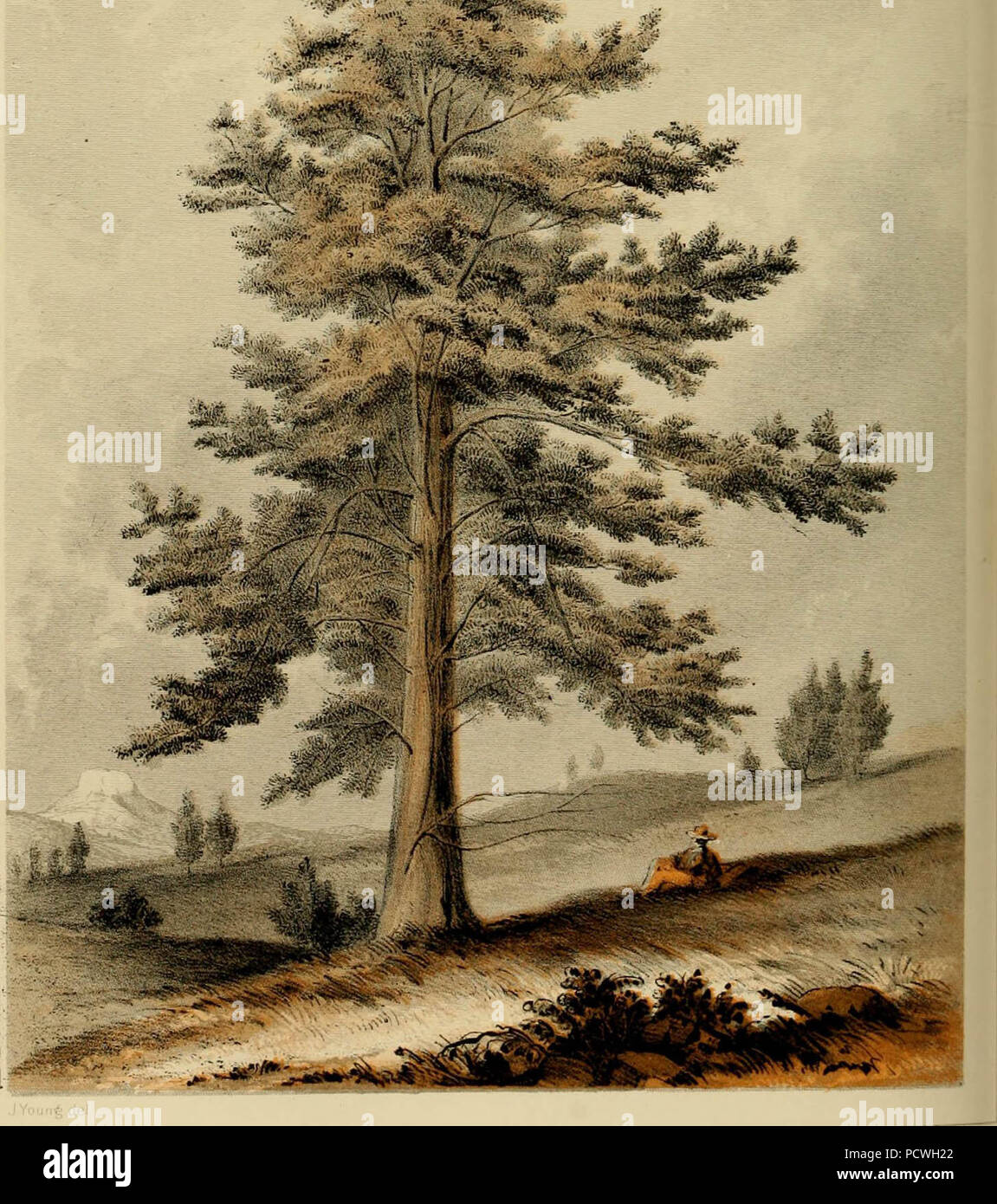 "Berichte von Erkundungen und Befragungen, die praktikabel und wirtschaftlich Route zu ermitteln, für eine Eisenbahn von der Mississippi River bis zum Pazifischen Ozean' (1857) Stockfoto