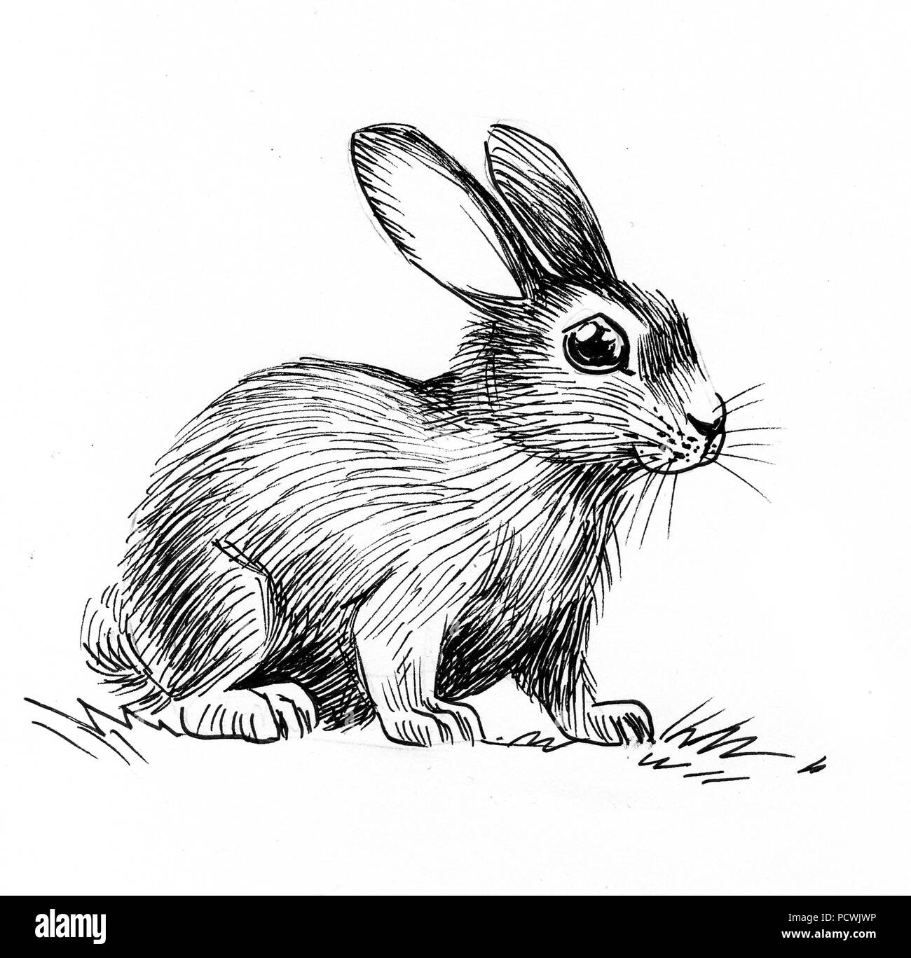 Niedliche Kaninchen Illustration. Tinte schwarz und weiß Abbildung: Stockfoto