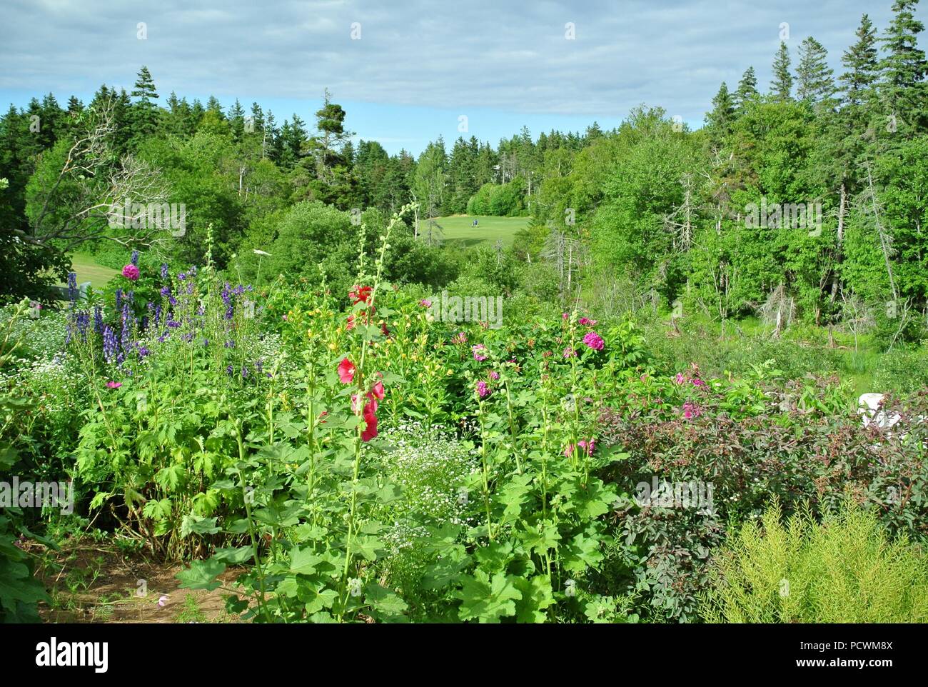 Eine Ansicht von Green Gables House Bereich auf grünen Giebel Golfplatz, Cavendish, Prince Edward Island, Kanada. Stockfoto