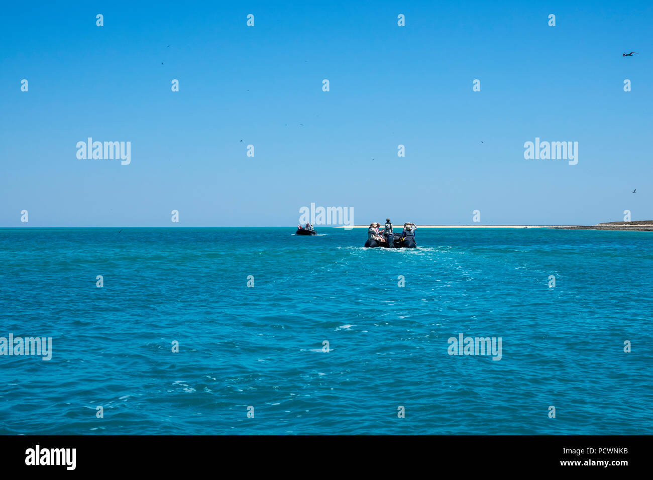 Kreuzfahrtschiff Passagiere am Lacepede Inseln, Western Australia Stockfoto