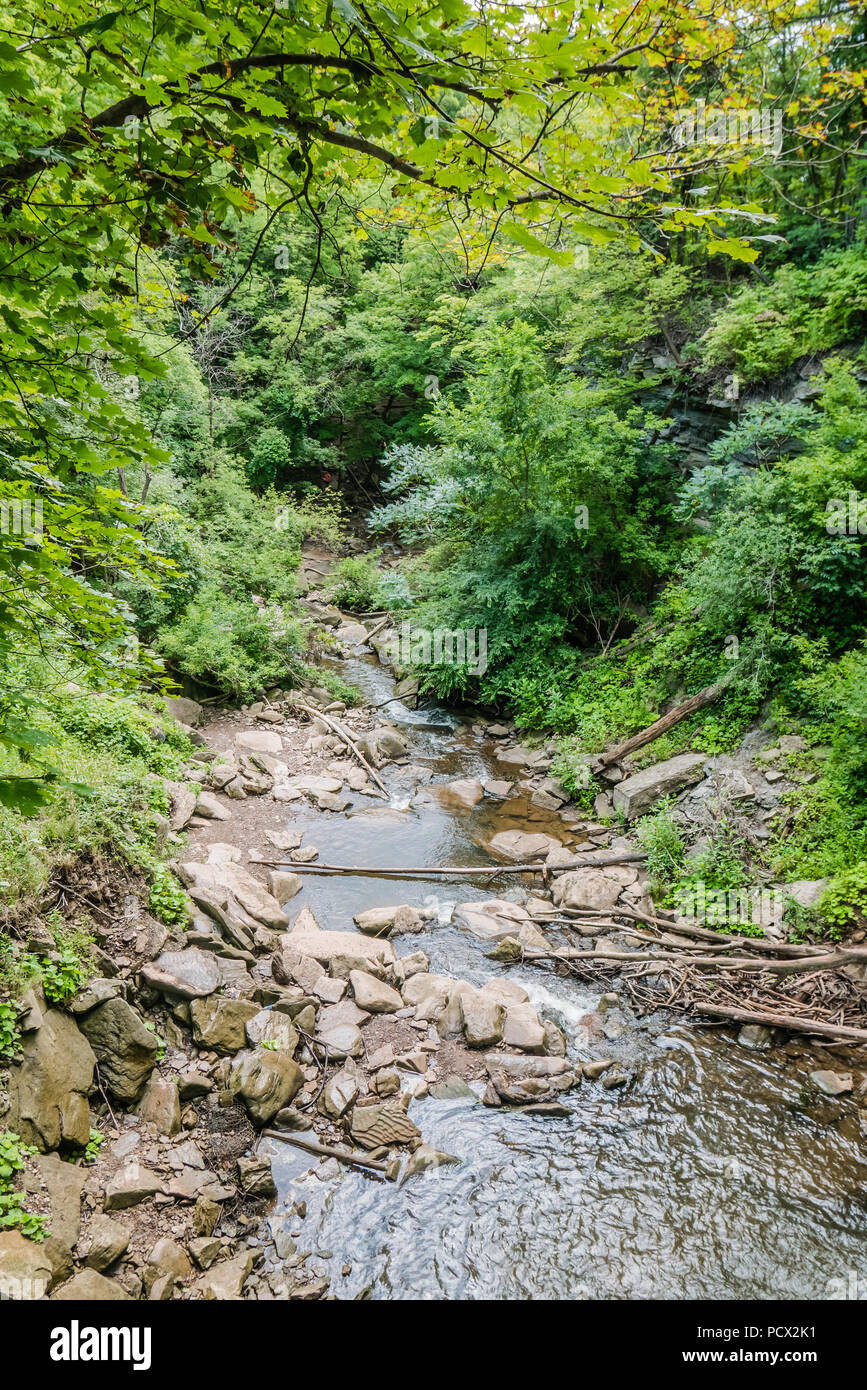 Wald Fluss und Felsen Stockfoto