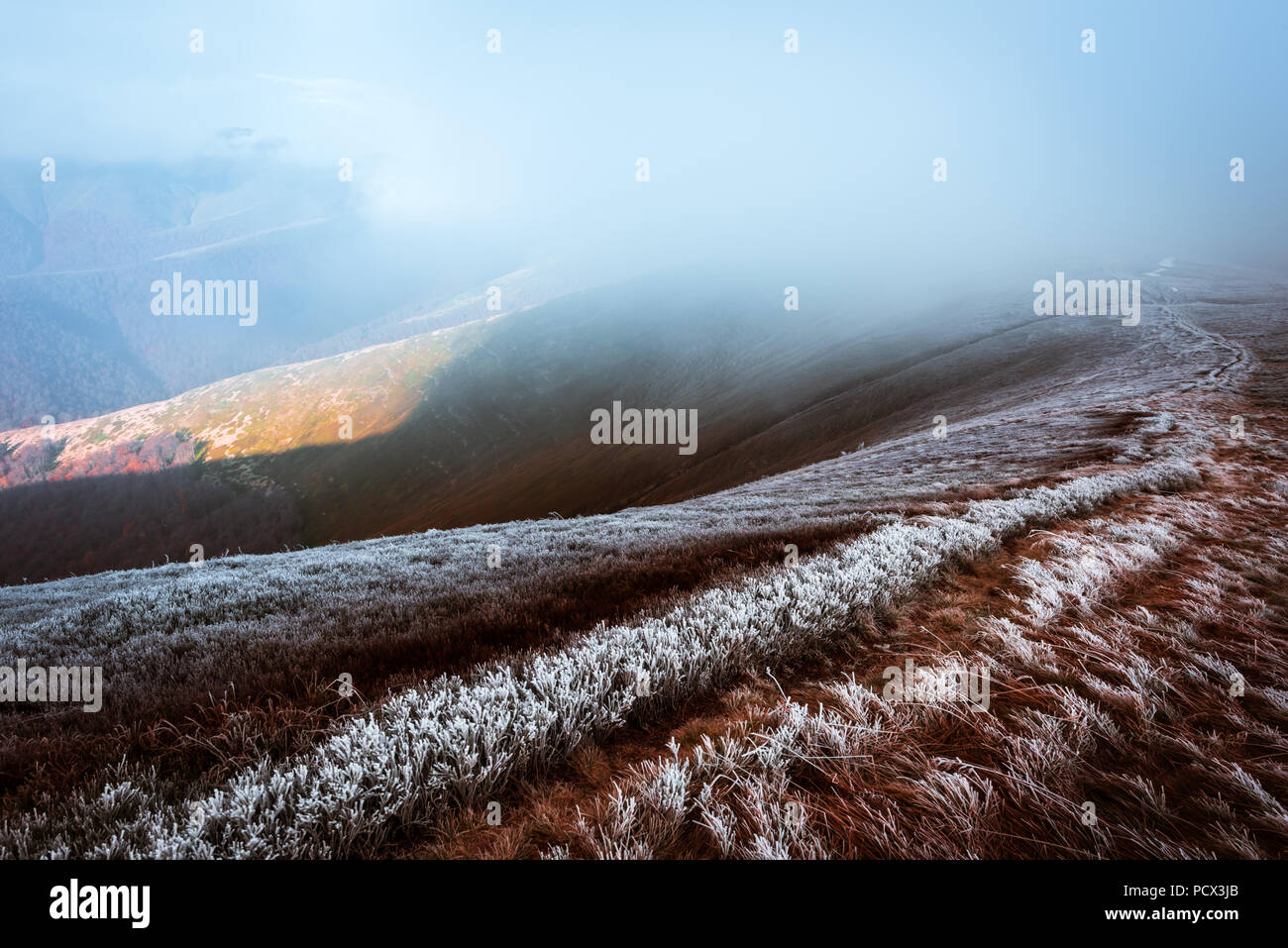 Fantastische Herbstlandschaft mit frost Stockfoto