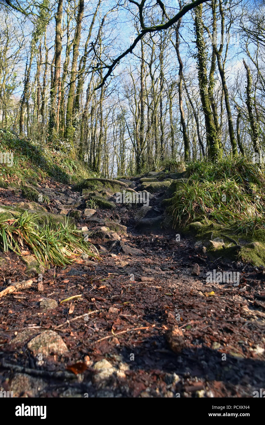 Golitha Wasserfälle Stockfoto