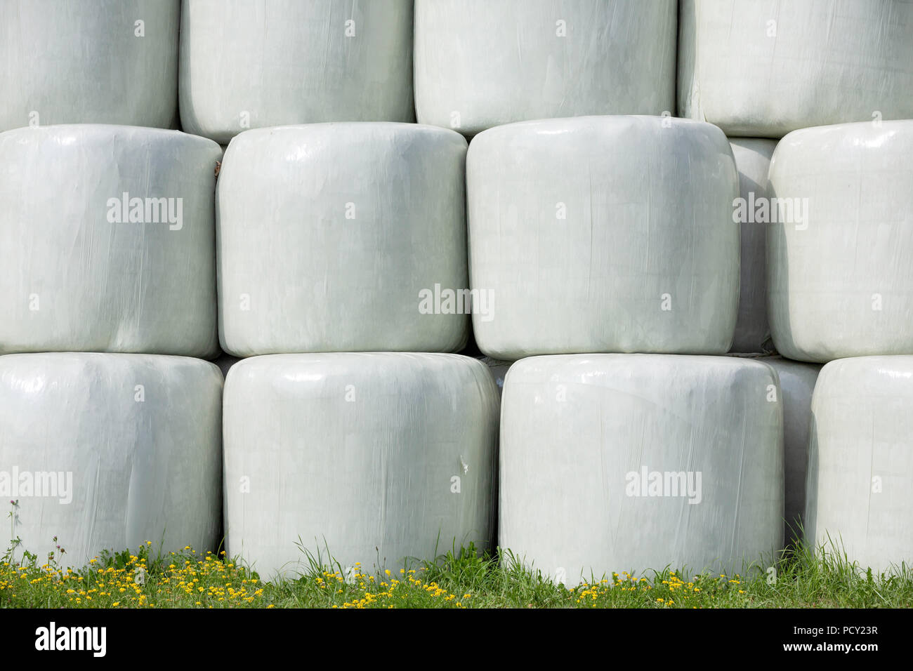 Gestapelte runde Silageballen in Weiß Film später für die Ernährung von Vieh genutzt werden. Stockfoto