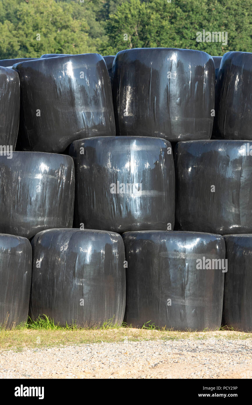 Gestapelte runde Silageballen in schwarz Film später für die Ernährung von Vieh genutzt werden. Stockfoto