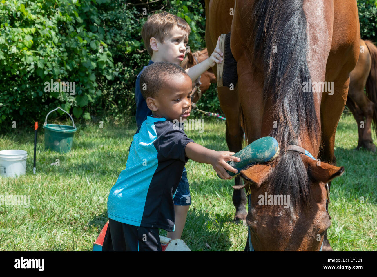 Detroit, Michigan - Kinder haben die Möglichkeit zum Reiten und über Pferde auf eine Stadt lernen. Die Veranstaltung wurde von Detroit Horse Power, eine organisierte organizati Stockfoto