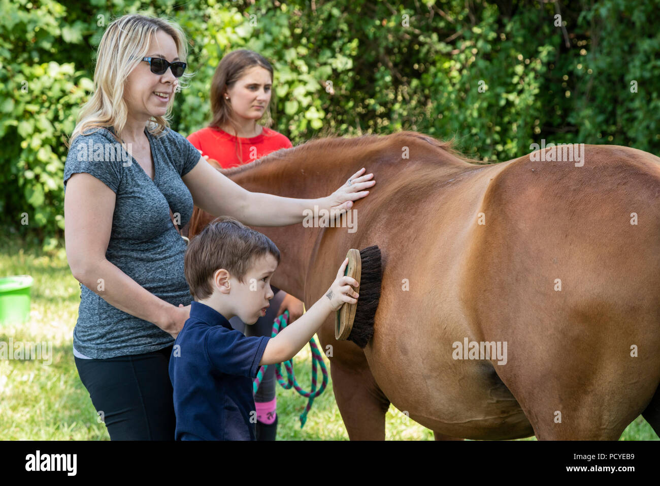 Detroit, Michigan - Kinder haben die Möglichkeit zum Reiten und über Pferde auf eine Stadt lernen. Die Veranstaltung wurde von Detroit Horse Power, eine organisierte organizati Stockfoto