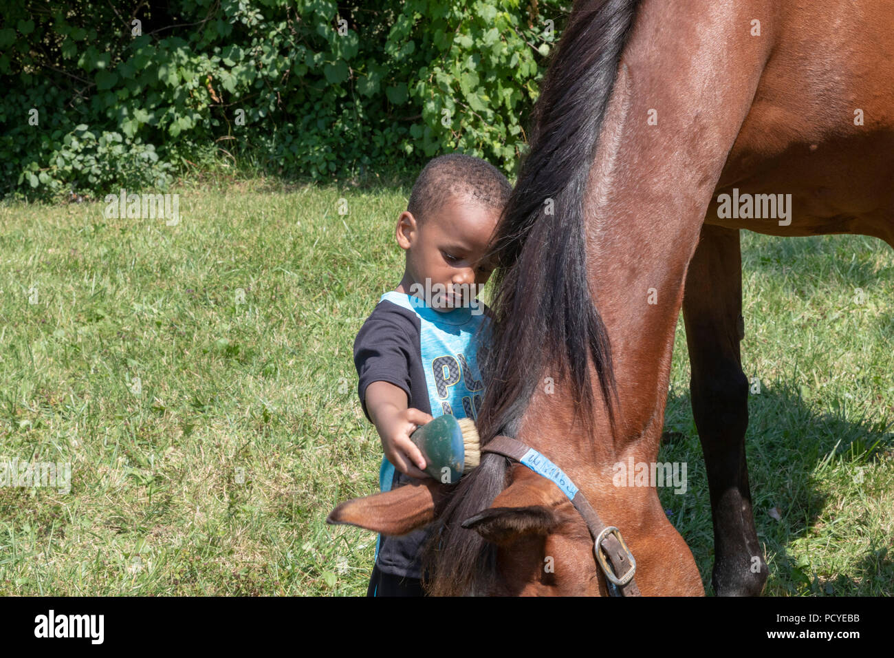 Detroit, Michigan - Kinder haben die Möglichkeit zum Reiten und über Pferde auf eine Stadt lernen. Die Veranstaltung wurde von Detroit Horse Power, eine organisierte organizati Stockfoto