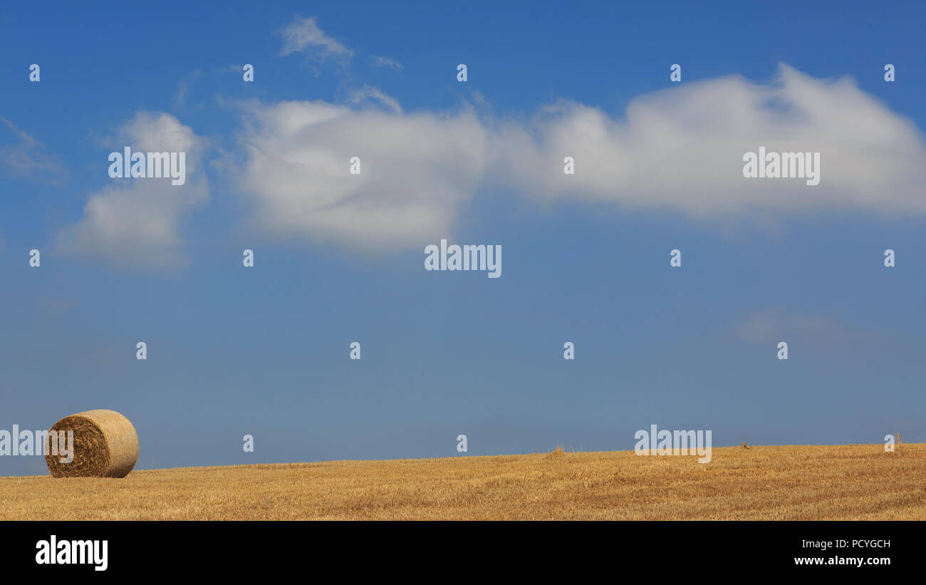Ein einsamer Heu Ballen auf ein Feld in der South Downs National Park, in Sussex, an einem klaren Sommer Stockfoto