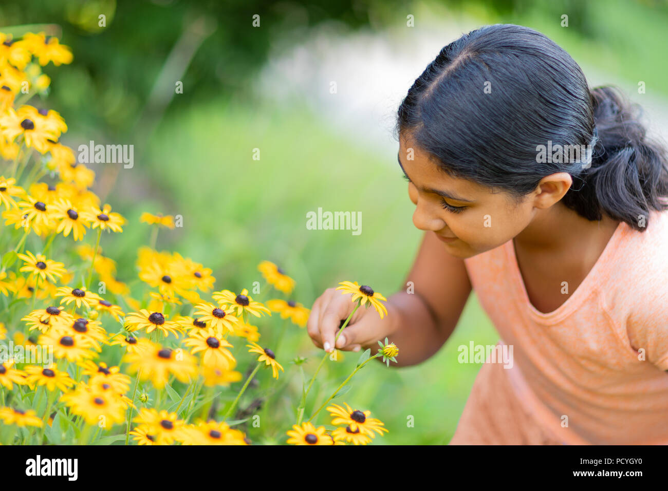 Kleines Mädchen bewundern Sonnenblumen im Garten Stockfoto