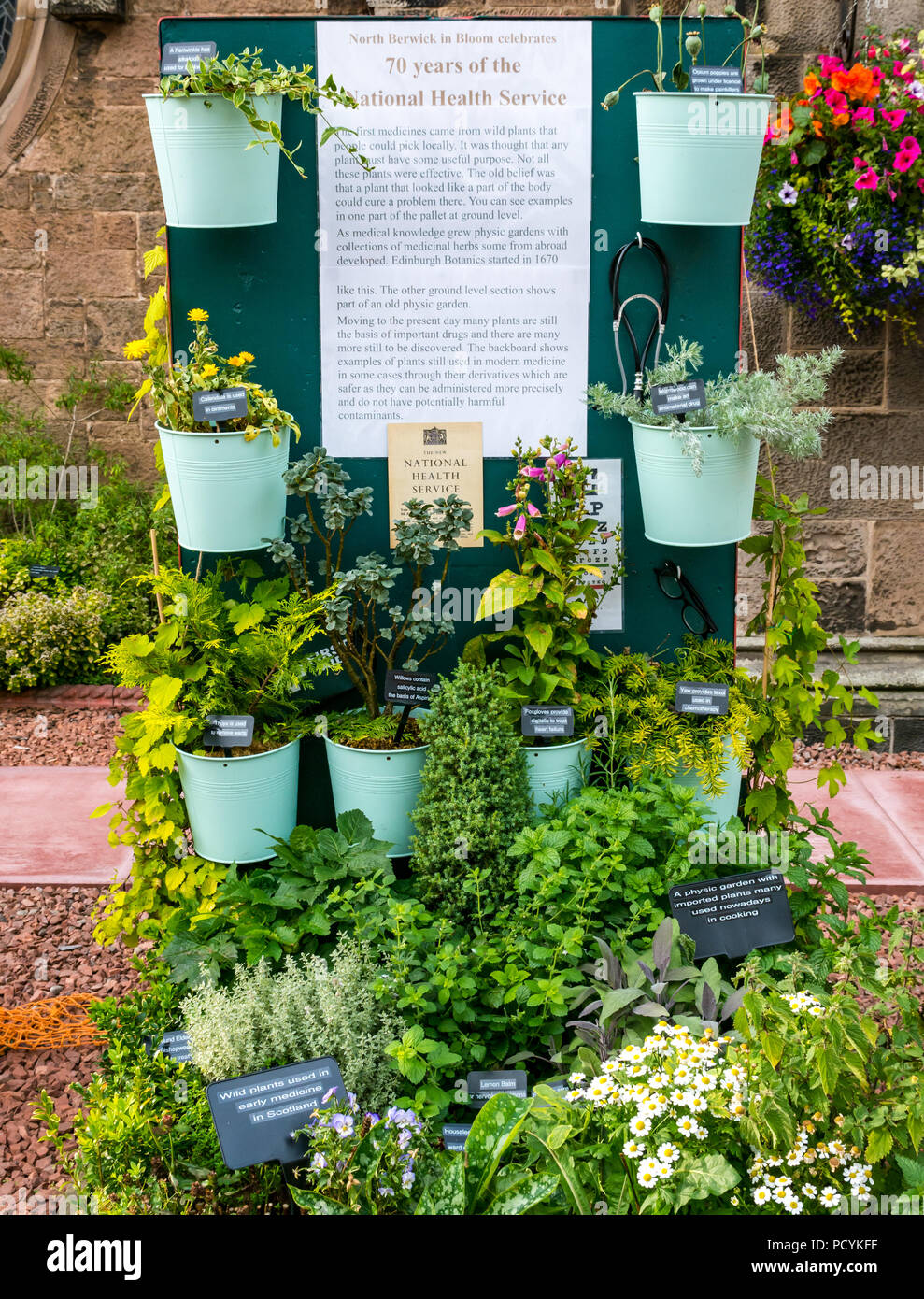 Blumenarrangement Heilpflanzen feiert 70 Jahre des National Health Service, Abteikirche, North Berwick in der Blüte, East Lothian, Schottland, Großbritannien Stockfoto