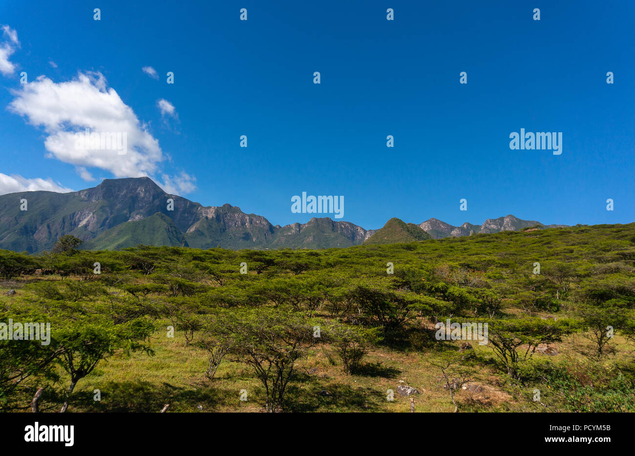Anden Landschaft von Norden Perus Stockfoto
