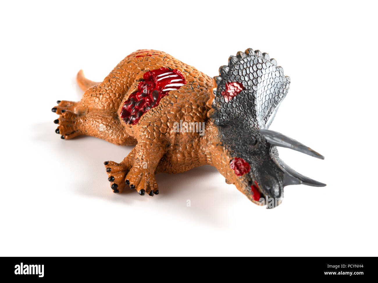 Triceratops toten Körper auf weißem Hintergrund Stockfoto