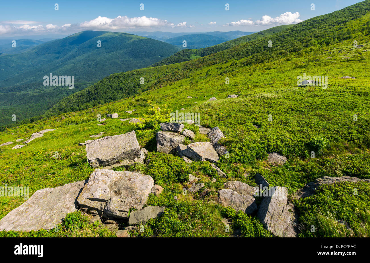 Frische Sommer Landschaft in den Bergen. Felsen auf der grasigen Hang. Schöne Lage der Karpaten Gebirge der Welt Konzept erkunden. Stockfoto