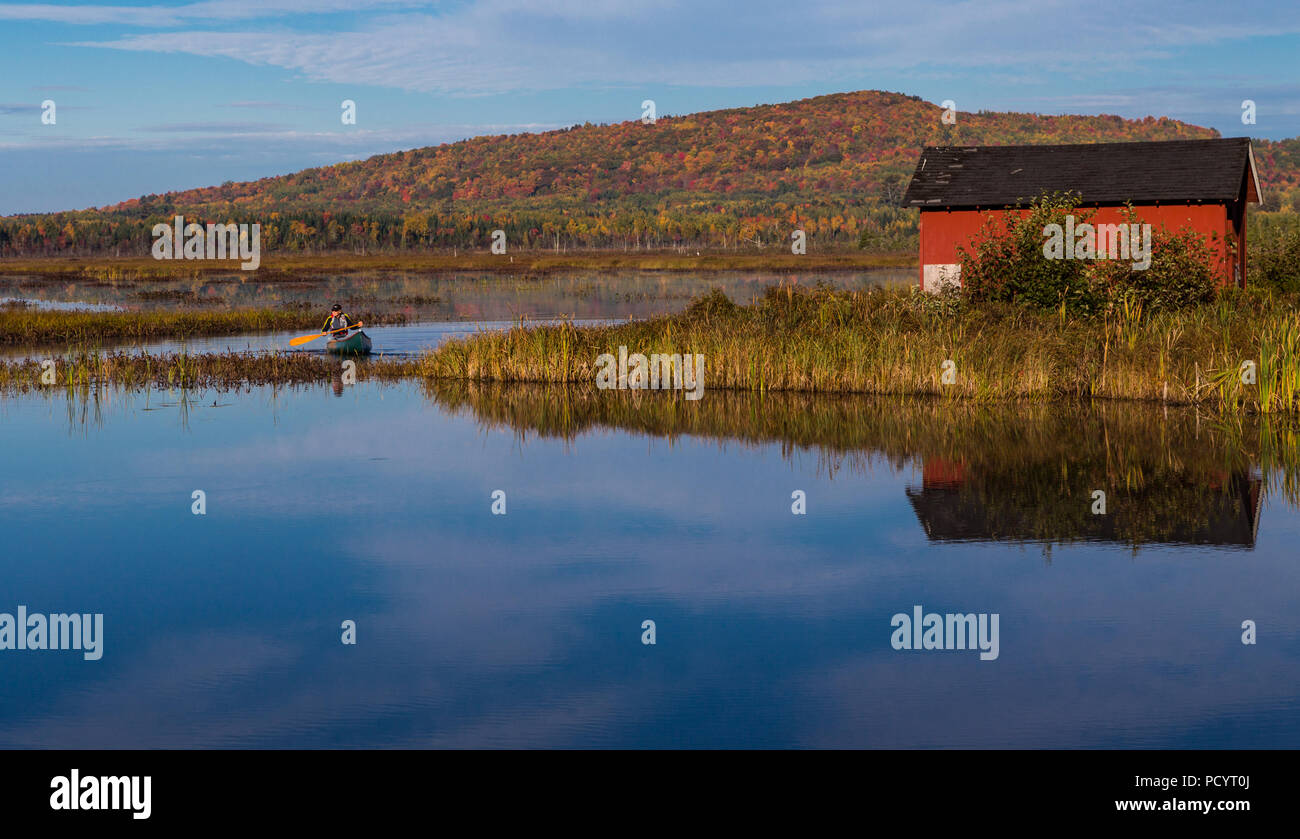 Man paddeln eine Kastanie Kanu auf der Eel River Rückstau in Benton, New Brunswick, Kanada auf einen schönen Herbst. Stockfoto