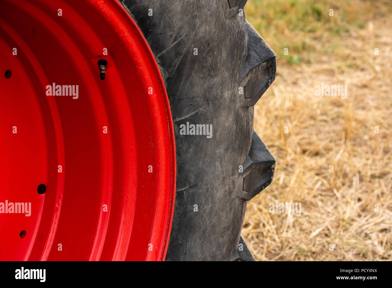 Die Räder des Traktors im Feld pflügen Stockfoto