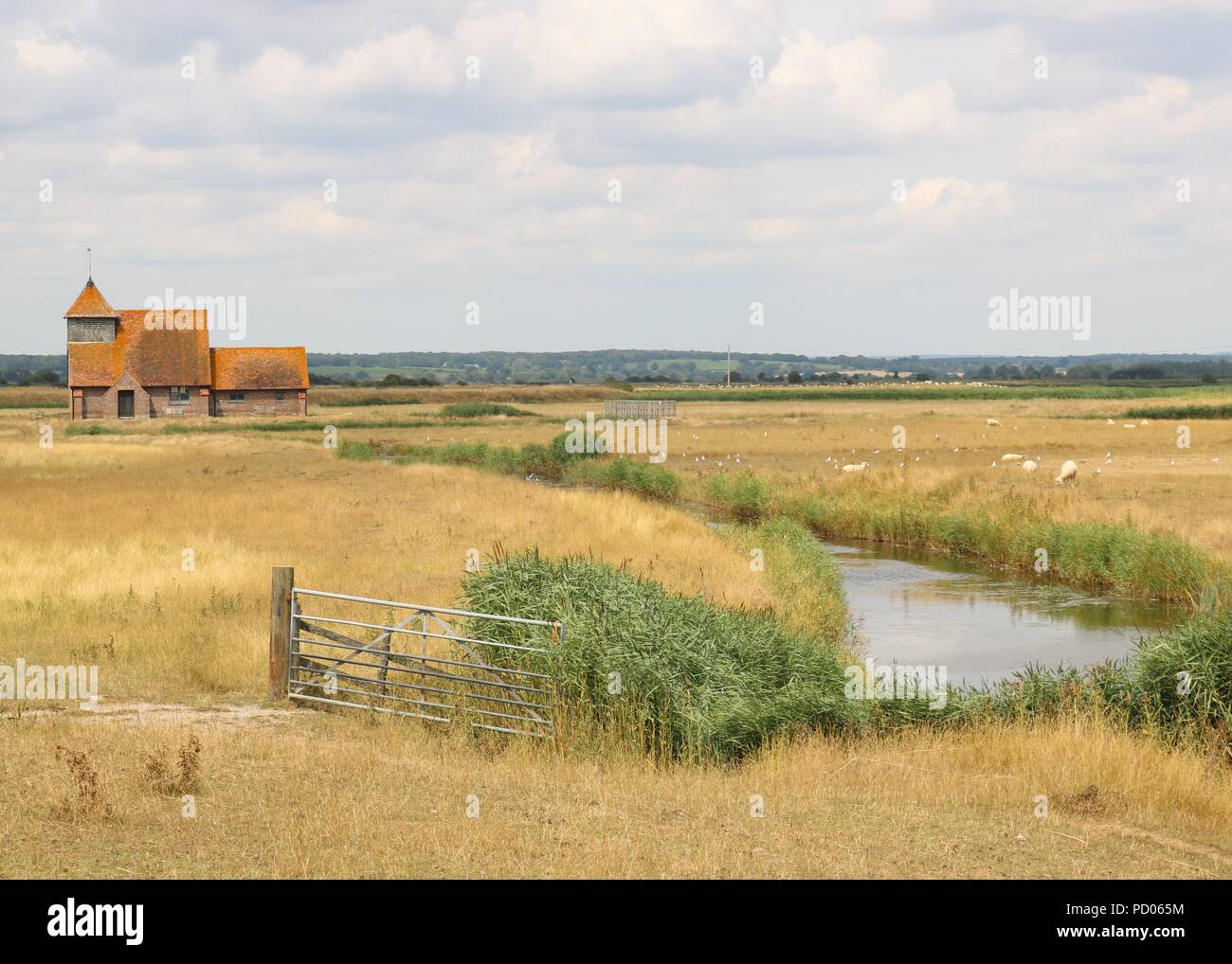 Fairfield Romney, Sümpfe, Kent Stockfoto