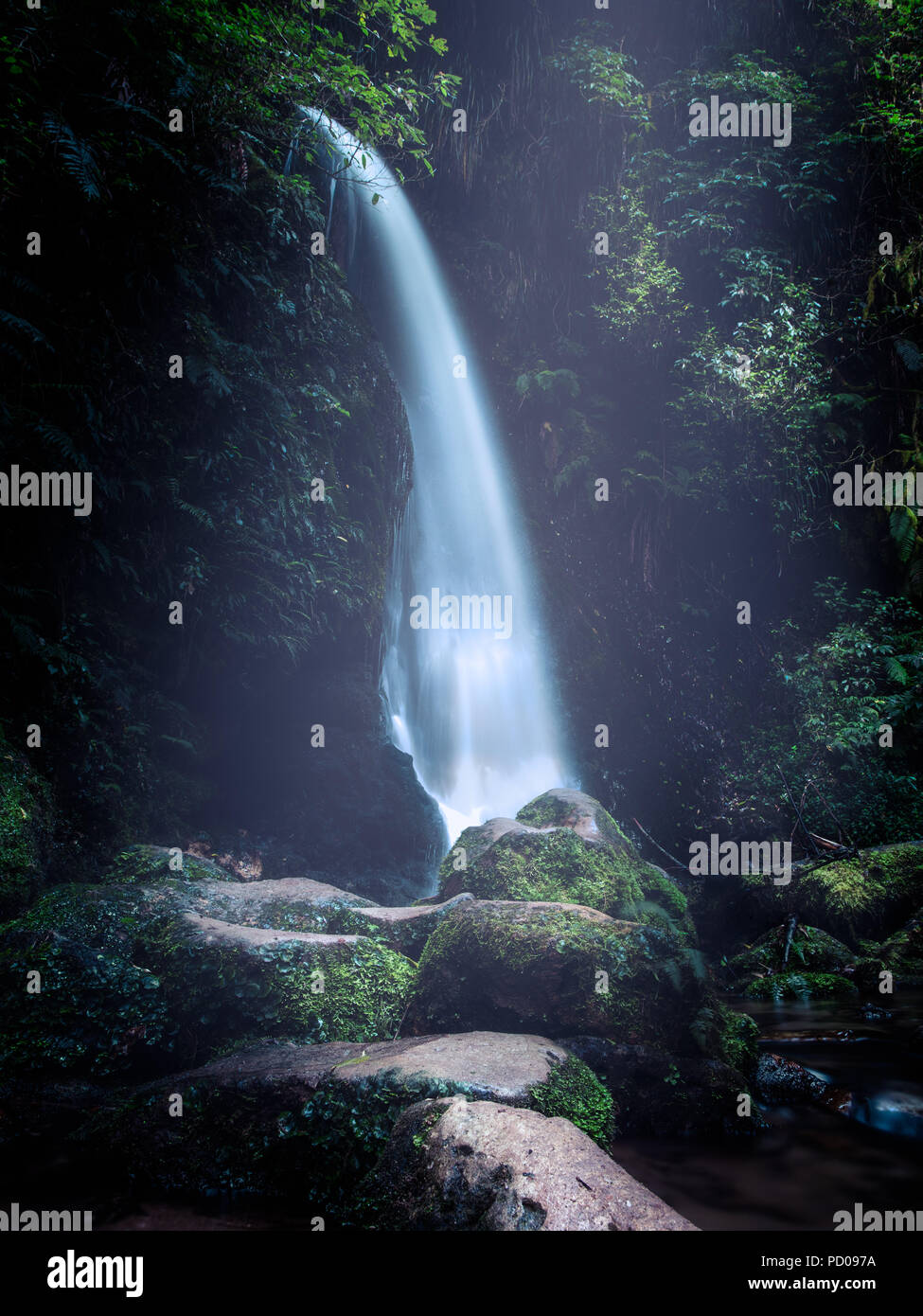 Wasserfall im McLaren Falls Park, Neuseeland Stockfoto