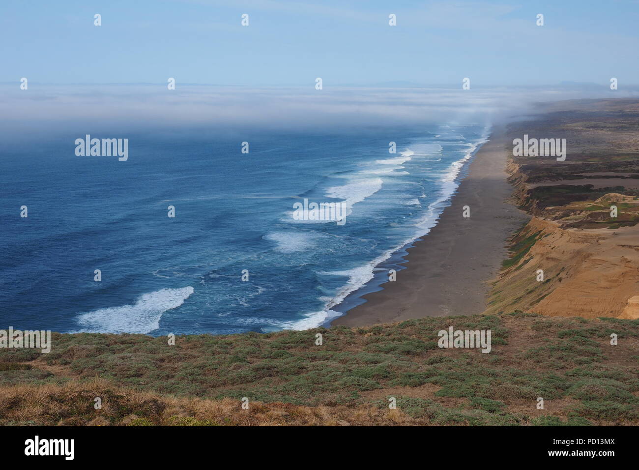 Mit Blick auf die Wellen auf den Strand von Point Reyes National Seashore in Nordkalifornien brechen, mit dem Nebel ab zu rollen. Stockfoto