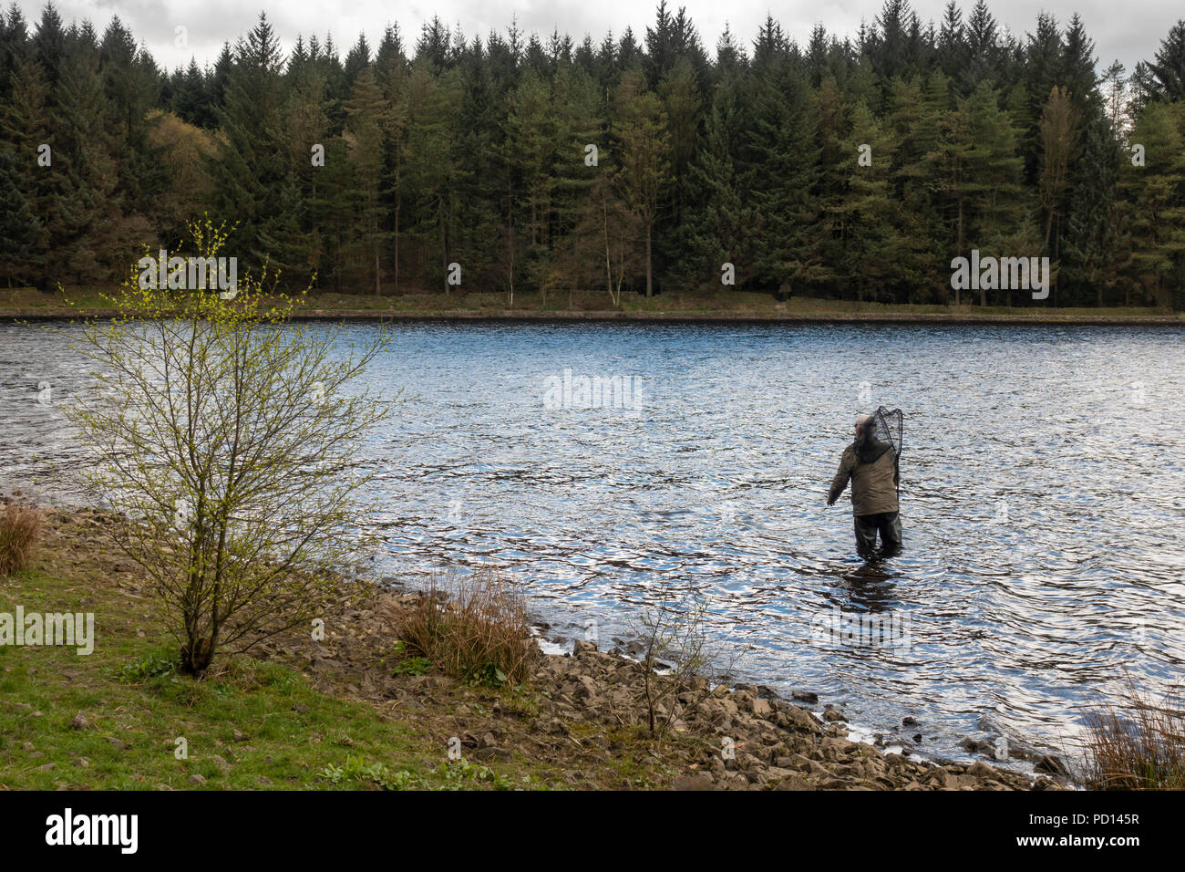 Mann angeln an Entwistle Reservoir in Edgeworth, Bolton, Lancashire, England. Stockfoto