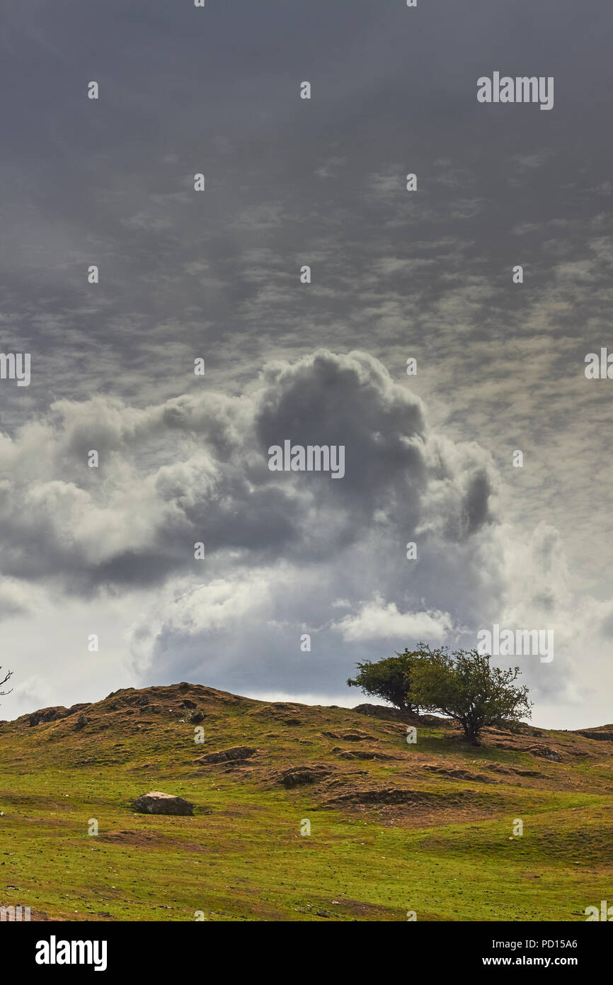 Drohende Gewitterwolken über den Lakeland Fells, Windermere, Cumbria, England, Großbritannien Stockfoto