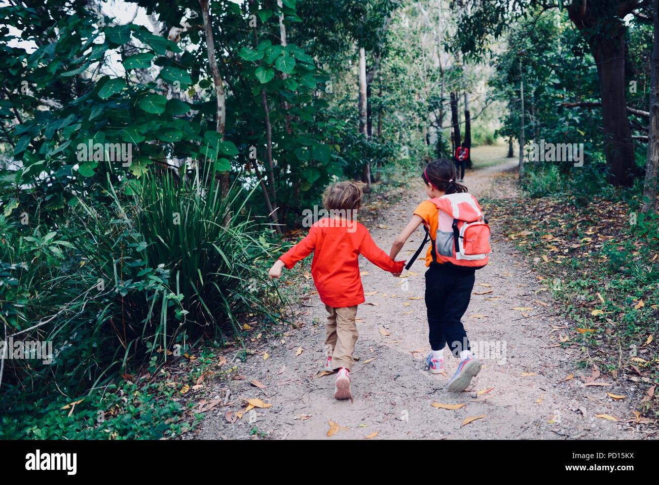 Eine Frau nimmt Fotos ihrer Kinder in einem Wald, Booroona Wanderweg auf der Ross River, Rasmussen, QLD 4815, Australien Stockfoto