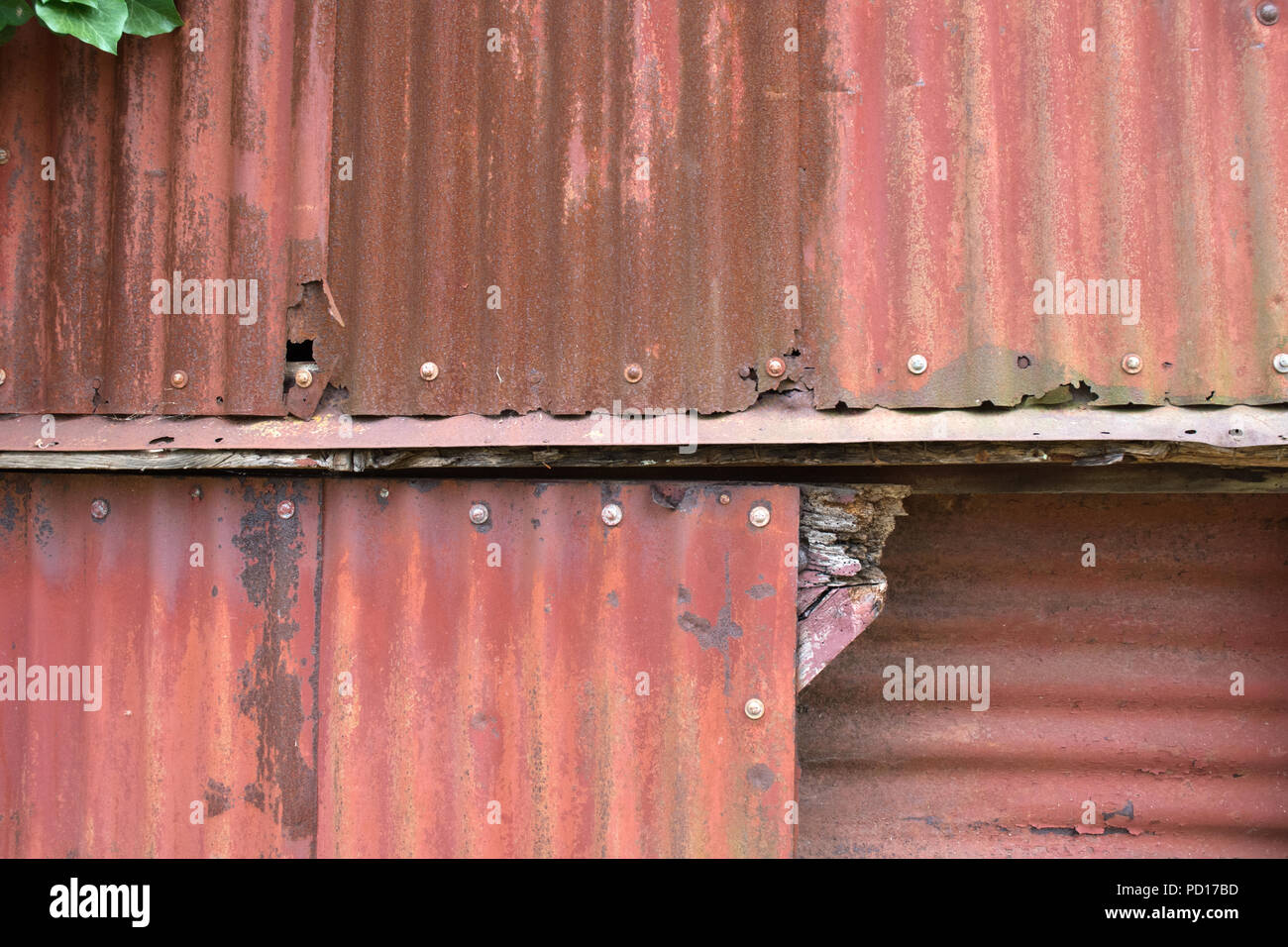 Rost Wellplatten auf dem Bauernhof Gebäude im Hintergrund Stockfoto