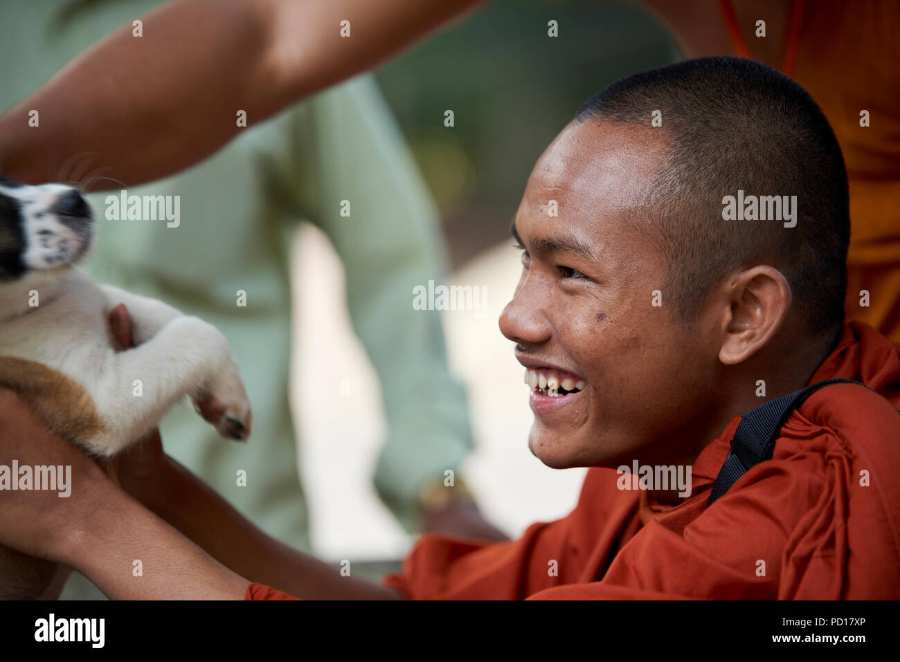 Ein Smilling junger buddhistischer Mönch spielt mit einem 2 Monate alten Welpen im Kloster, wo er lebt. In Siem Reap, Kambodscha. Stockfoto