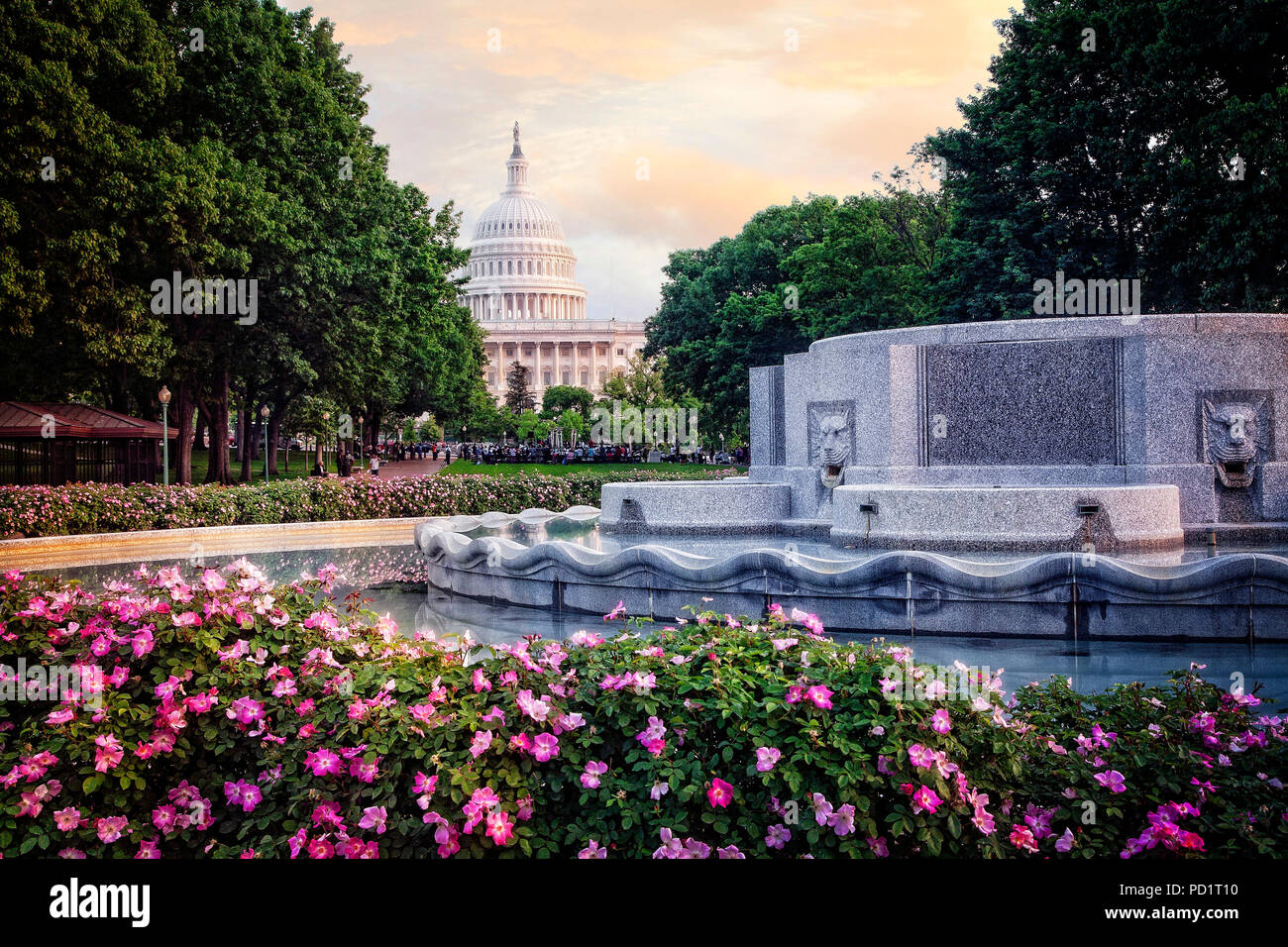 Das Kapitol, den Senat und das Repräsentantenhaus auf der National Mall in Washington DC. Stockfoto