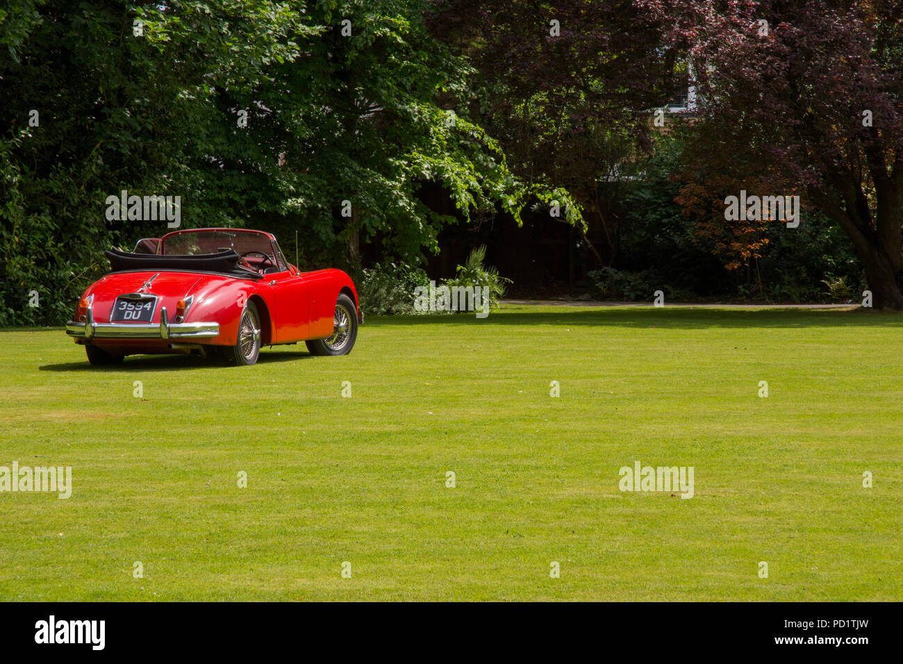 1959 red Jaguar XK 150 auf öffentliche Anzeige auf Rasen Stockfoto