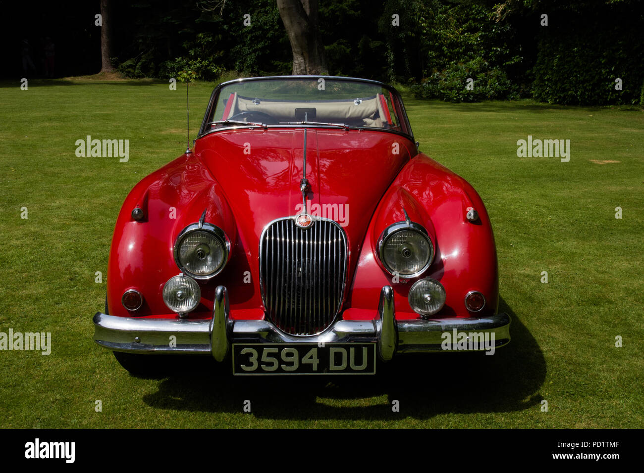 1959 red Jaguar XK 150 auf öffentliche Anzeige auf Rasen Stockfoto